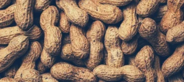 Arachide (cacahuète) - Crédit photo www.Pixel.la Free Stock Photos - https://commons.wikimedia.org/wiki/File:Food-peanuts_(23958638589).jpg