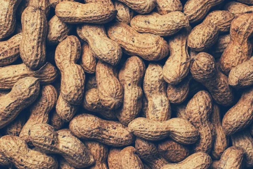 Arachide (cacahuète) - Crédit photo www.Pixel.la Free Stock Photos - https://commons.wikimedia.org/wiki/File:Food-peanuts_(23958638589).jpg