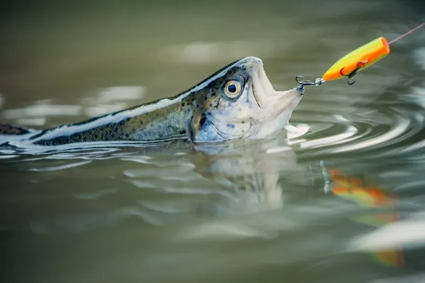 Pêche aux leurres - Crédit photo 123RF