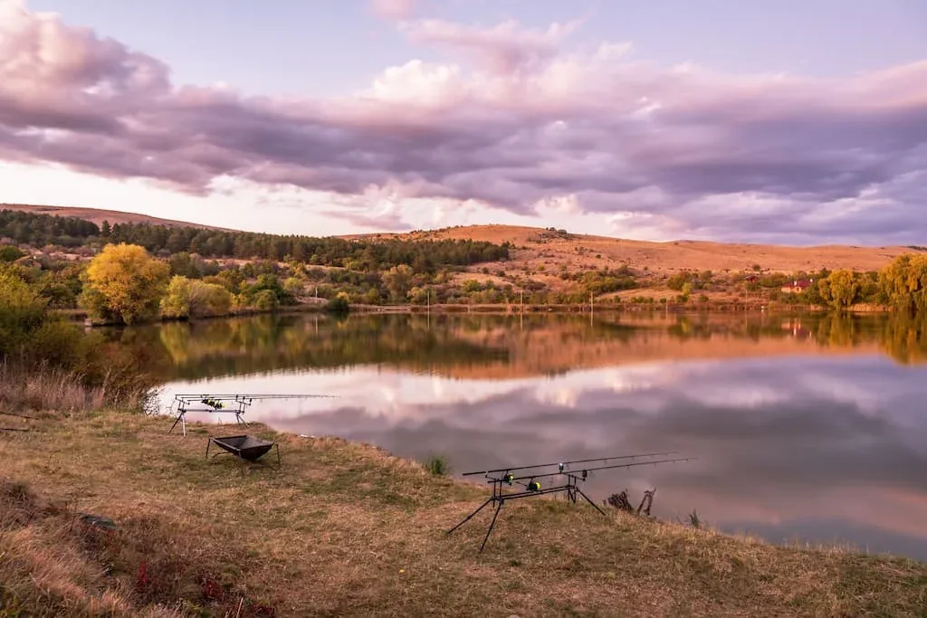 Pêche de la carpe en étang - Crédit photo 123RF