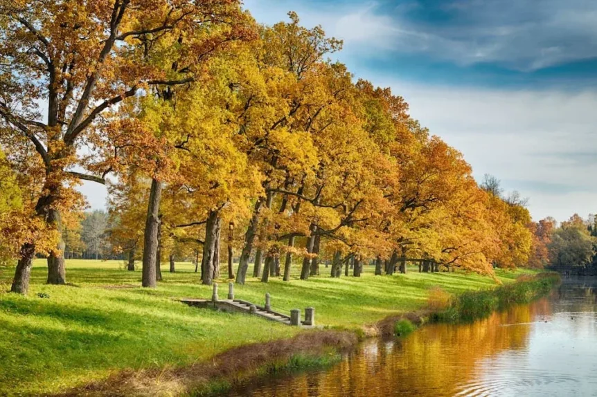 Rivière en Automne - Crédit photo 123RF