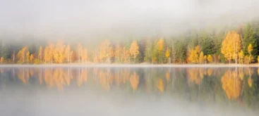 Etang dans la brume - Crédit photo 123RF