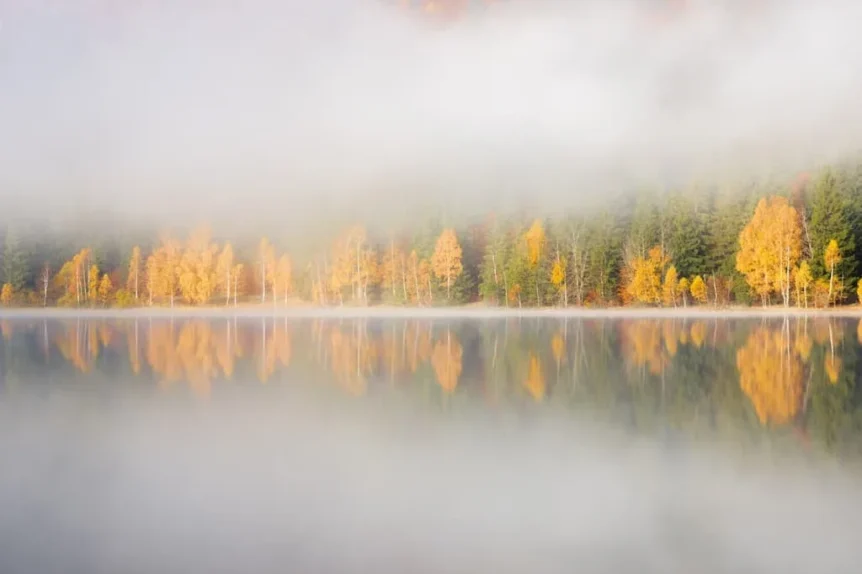 Etang dans la brume - Crédit photo 123RF