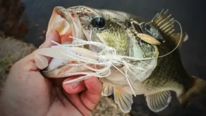 Spinnerbait pour la pêche du Black-bass