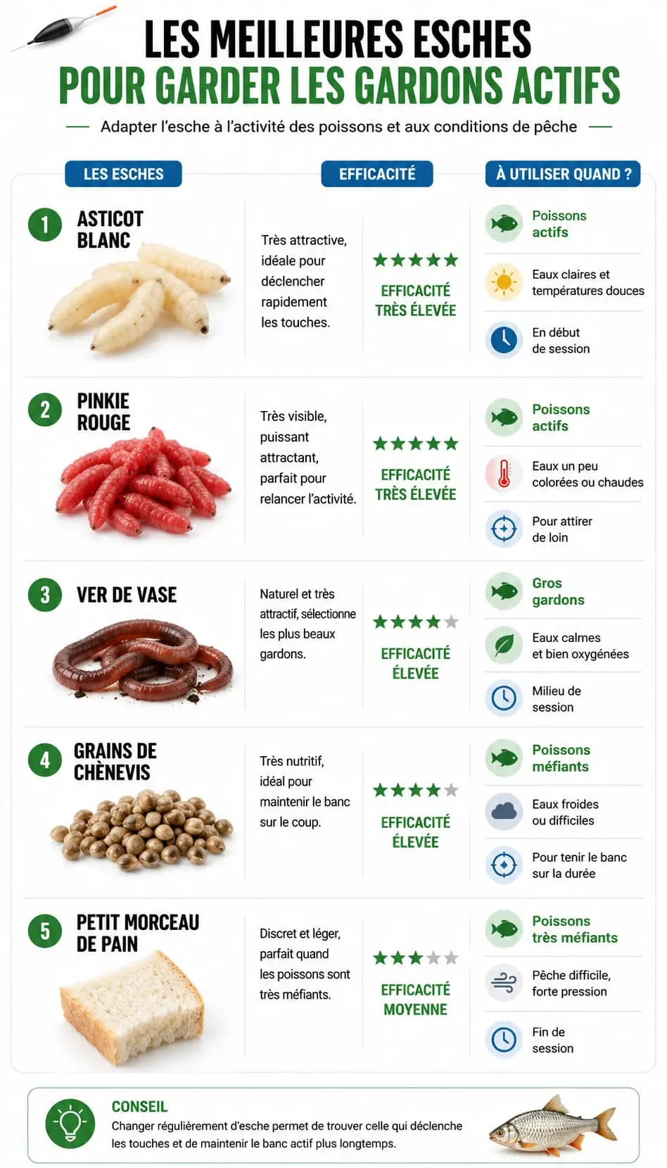 Comparatif des meilleures esches pour maintenir les gardons actifs sur le coup